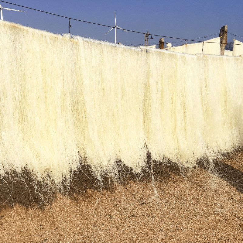 Kamfanin Longkou Vermicelli na kasar Sin (7)